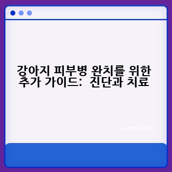 강아지 피부병 완치를 위한 추가 가이드:  진단과 치료