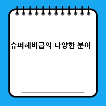 슈퍼헤비급의 다양한 분야 