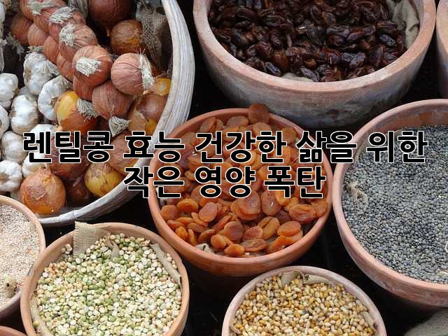 렌틸콩 효능: 건강한 삶을 위한 작은 영양 폭탄!