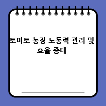 토마토 농장 노동력 관리 및 효율 증대