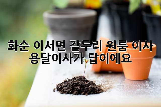 화순 이서면 갈두리 원룸 이사, 용달이사가 답이에요!