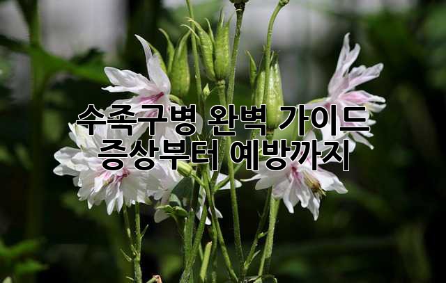 수족구병 완벽 가이드: 증상부터 예방까지