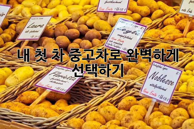 내 첫 차, 중고차로 완벽하게 선택하기!