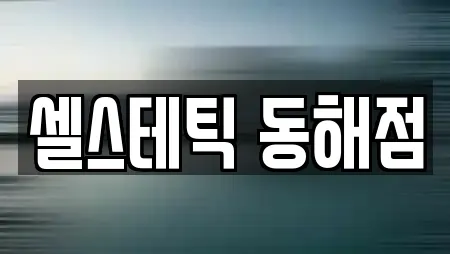 셀스테틱 동해점