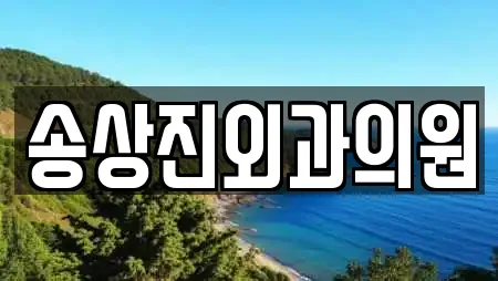 송상진외과의원