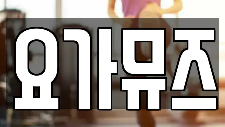 부산광역시 중구 대청동2가 암벽등반 업체 현황 19곳 부산광역시 중구 대청동2가 암벽등반 업체 현황 19곳