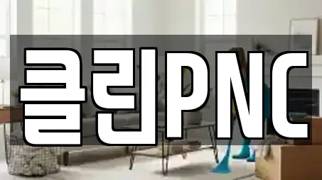 클린PNC
