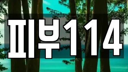 피부114