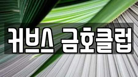 커브스 금호클럽