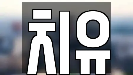 안동 신안동 에스테틱,산후조리원,한의원,산부인과,피부과 18 업체