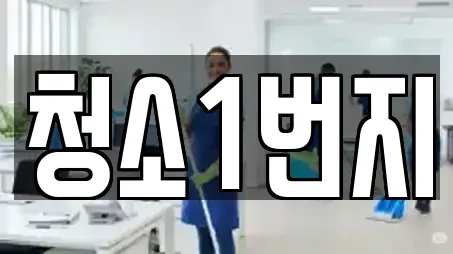 청소1번지