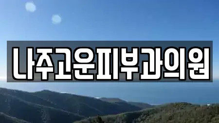 나주고운피부과의원