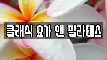 클래식 요가 앤 필라테스