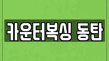 카운터복싱 동탄