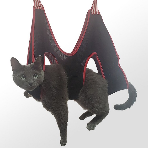 후캣 고양이 미용 해먹, 스트레스 없는 그루밍의 시작 ✨ 후캣 고양이 미용 해먹, 스트레스 없는 그루밍의 시작 ✨