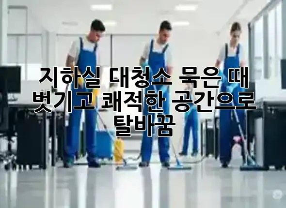 지하실 대청소🧹: 묵은 때 벗기고 쾌적한 공간으로 탈바꿈!