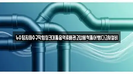 누수탐지하수구막힘싱크대뚫음역류배관고압세척뚫어뻥다고쳐설비