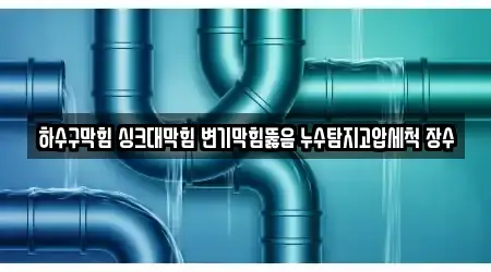 하수구막힘 싱크대막힘 변기막힘뚫음 누수탐지고압세척 장수