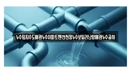 누수탐지수도배관누수아파트펜션천정누수보일러난방배관누수공사