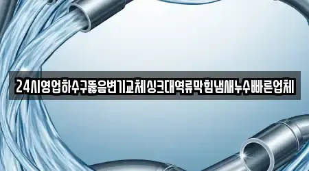 24시영업하수구뚫음변기교체싱크대역류막힘냄새누수빠른업체