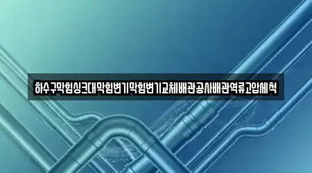 하수구막힘싱크대막힘변기막힘변기교체배관공사배관역류고압세척