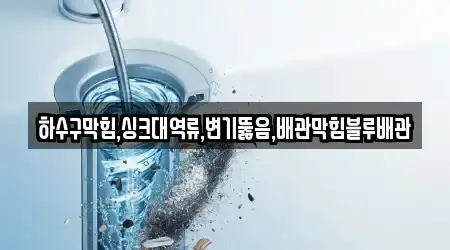 하수구막힘,싱크대역류,변기뚫음,배관막힘블루배관