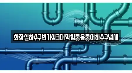 화장실하수구변기싱크대막힘뚫음뚫어하수구냄새