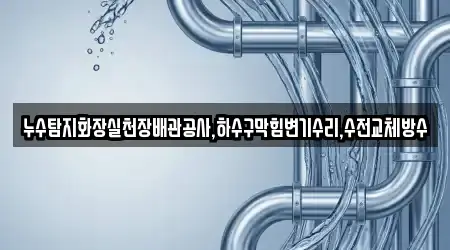 누수탐지화장실천장배관공사,하수구막힘변기수리,수전교체방수