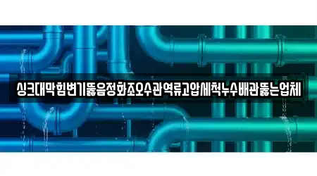 싱크대막힘변기뚫음정화조오수관역류고압세척누수배관뚫는업체