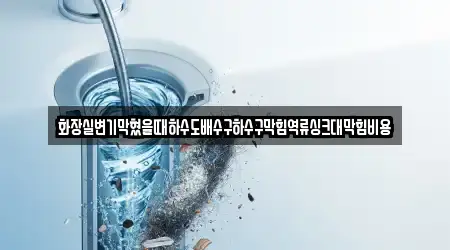 화장실변기막혔을때하수도배수구하수구막힘역류싱크대막힘비용