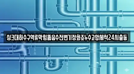 싱크대하수구역류막힘뚫음수전변기정화조누수고압세척24시출동