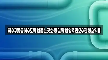 하수구뚫음하수도막힘뚫는곳화장실막힘횡주관오수관청소역류