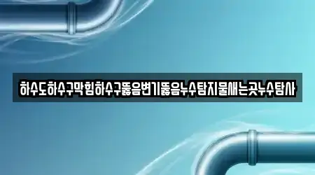 하수도하수구막힘하수구뚫음변기뚫음누수탐지물새는곳누수탐사