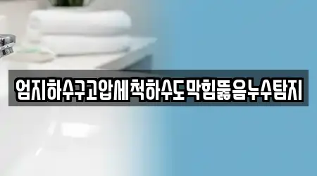 엄지하수구고압세척하수도막힘뚫음누수탐지