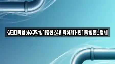 싱크대막힘하수구막힘기똥찬24시악취제거변기막힘뚫는업체