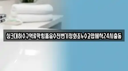 싱크대하수구역류막힘뚫음수전변기정화조누수고압세척24시출동