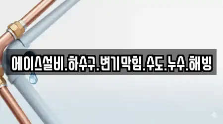에이스설비.하수구.변기막힘.수도.누수.해빙