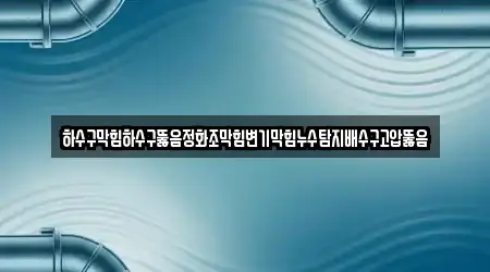 하수구막힘하수구뚫음정화조막힘변기막힘누수탐지배수구고압뚫음