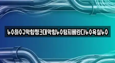 누수하수구막힘씽크대막힘누수탐지베란다누수욕실누수
