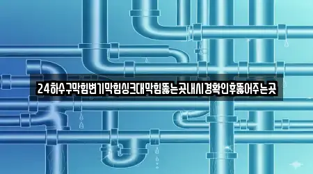 24하수구막힘변기막힘싱크대막힘뚫는곳내시경확인후뚫어주는곳