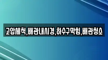 고압세척,배관내시경,하수구막힘,배관청소