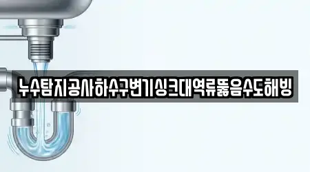 누수탐지공사하수구변기싱크대역류뚫음수도해빙