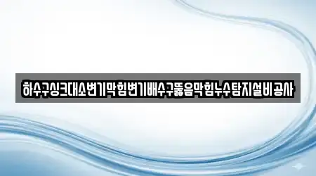 하수구싱크대소변기막힘변기배수구뚫음막힘누수탐지설비공사