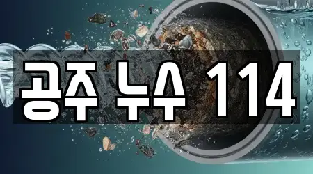 공주 누수 114