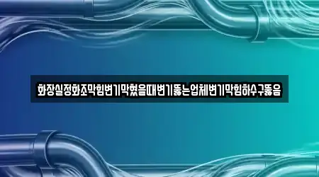 화장실정화조막힘변기막혔을때변기뚫는업체변기막힘하수구뚫음
