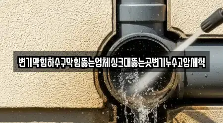 변기막힘하수구막힘뚫는업체싱크대뚫는곳변기누수고압세척