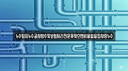 누수탐지누수공사방수및보험처리전문못찾으면비용없음집사랑누수