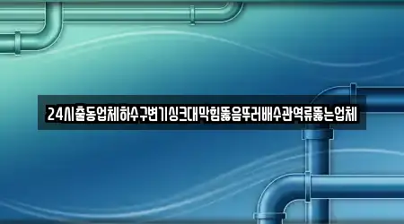 24시출동업체하수구변기싱크대막힘뚫음뚜러배수관역류뚫는업체