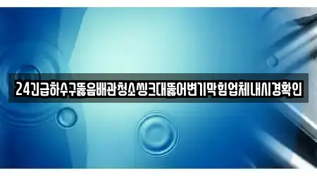 24긴급하수구뚫음배관청소씽크대뚫어변기막힘업체내시경확인