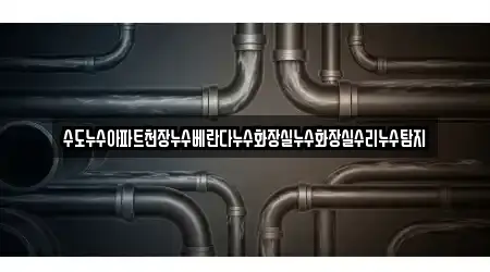 수도누수아파트천장누수베란다누수화장실누수화장실수리누수탐지